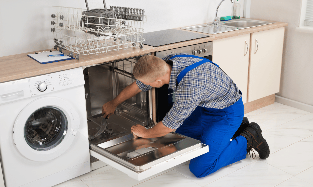 Dishwasher Repair Man